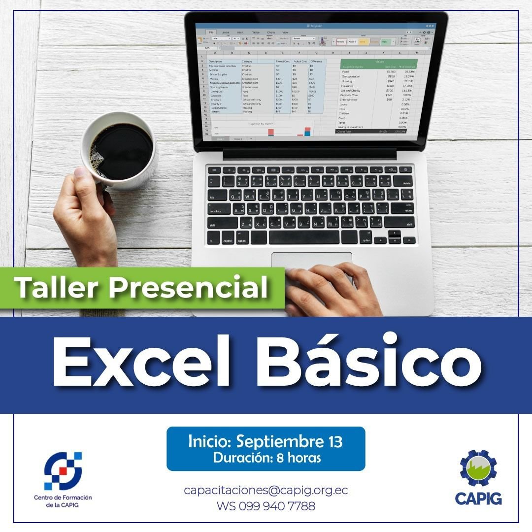 Programa Presencial de Excel: Módulo Básico